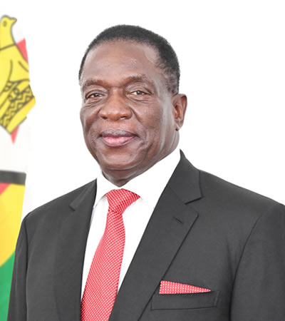 His Excellency, Cde Emmerson Dambudzo Mnangagwa, President of the Republic of Zimbabwe